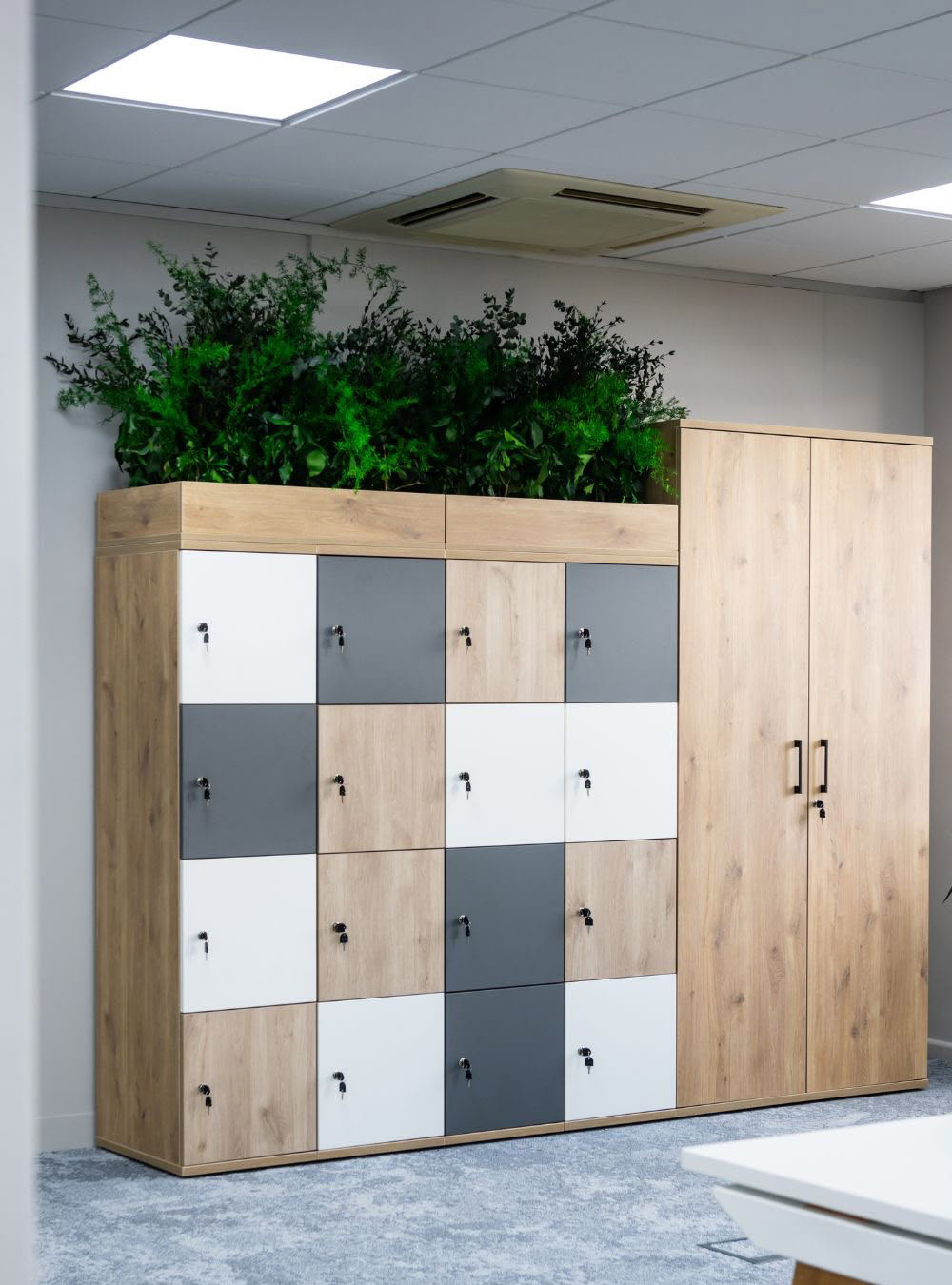 Storage Furniture